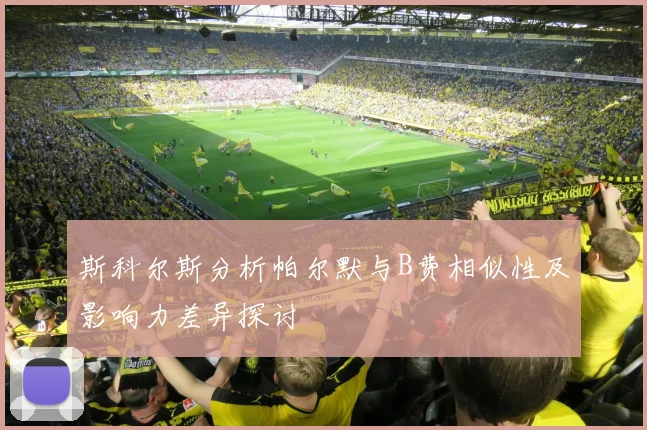 斯科尔斯分析帕尔默与B费相似性及影响力差异探讨
